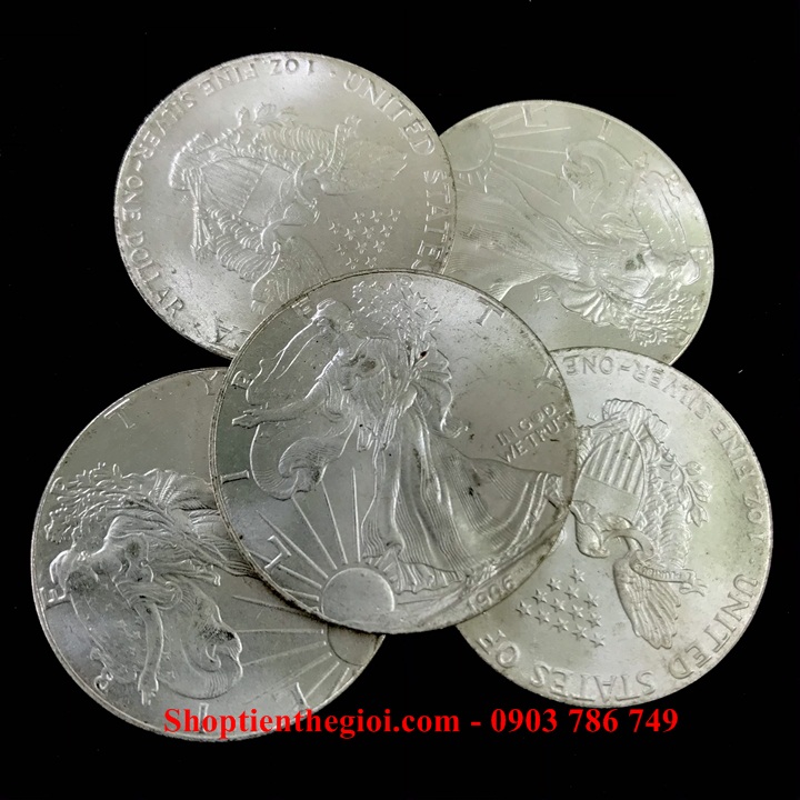 Xu Mỹ - USA 1 Dollar Liberty 1906 (FAKE) - SP005318